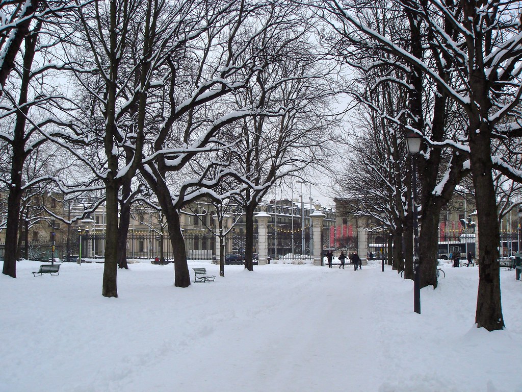 Snow in Geneva Snow in Geneva Patrick Nouhailler Flickr