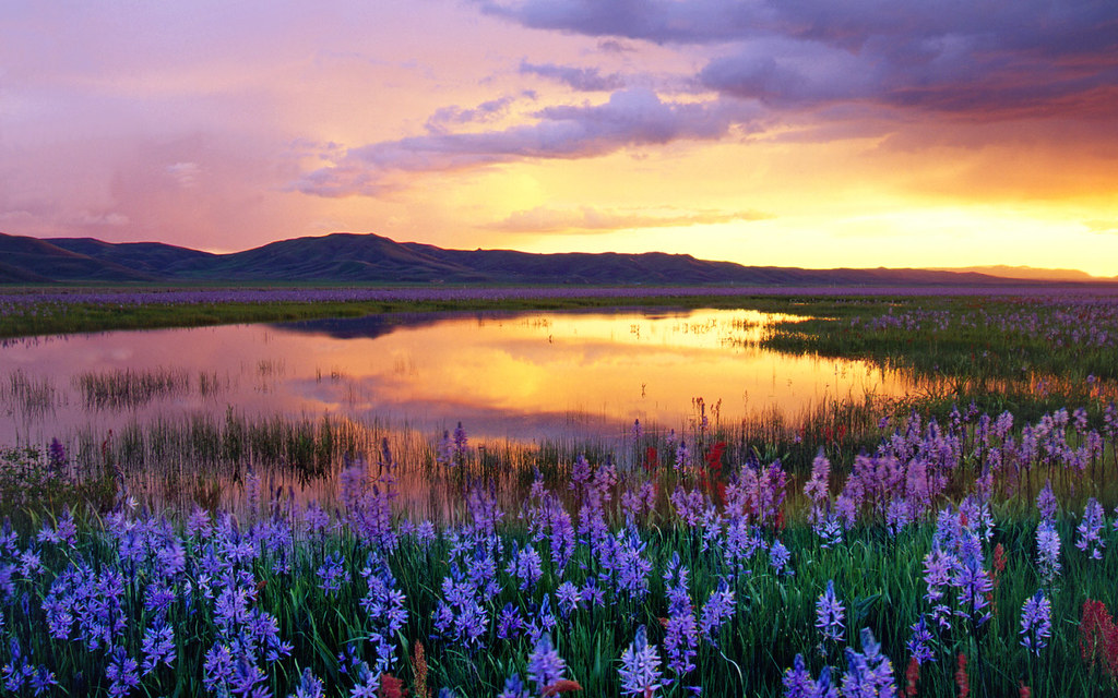 Camas Prairie at Sunset, Idaho, USA Edwin Poon Flickr