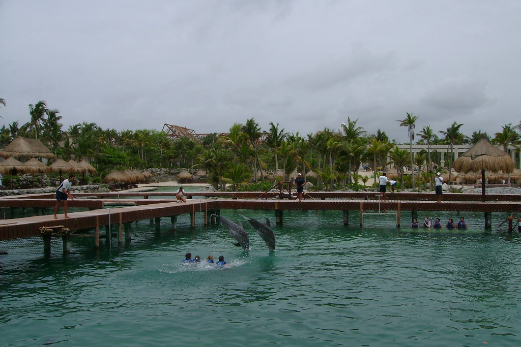 Xcaret 008 Swimming with dolphins at Xcaret Park pili2007 Flickr