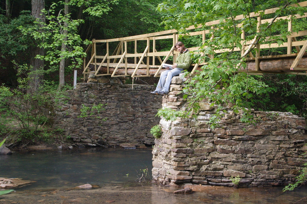DPP_0067 Bridge over Lula Lake Read more about how Rock/Cr… Flickr