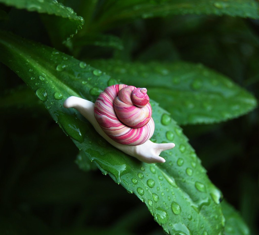 Hey there's a fake snail in my daisies Jaybird Flickr
