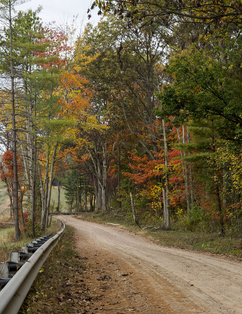 Backroads GreeneSullivan State Forest, Indiana Paula Barrickman Flickr