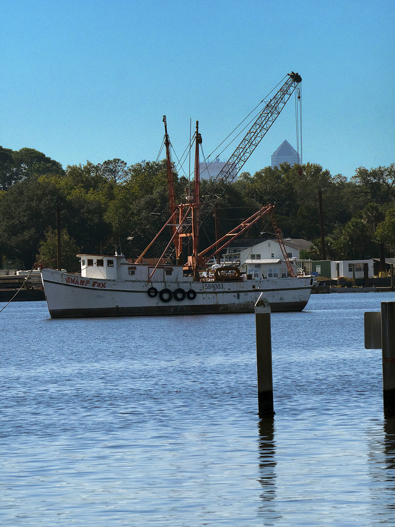 Jacksonville Zoo 10292014 Swamp Fox 1 Swamp Fox Trout … Flickr