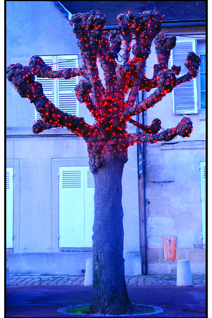 Christmas Tree Christmas lights in Chantilly Street ag&ph2010 Flickr