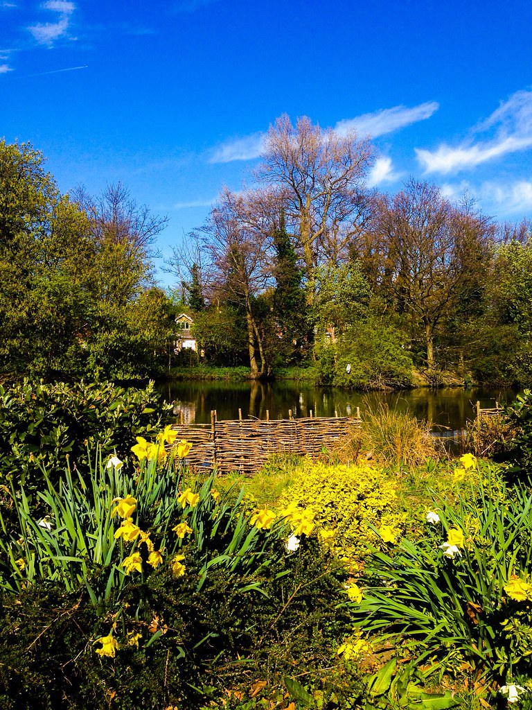 Park Hall Lake, Walsall tallsmilesdown Flickr