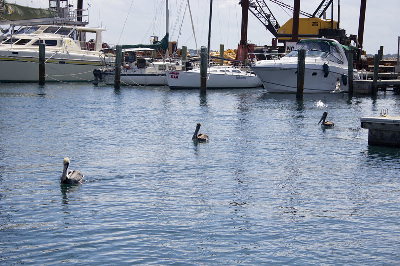 Peanut Island/Kennedy Bunker Flickr