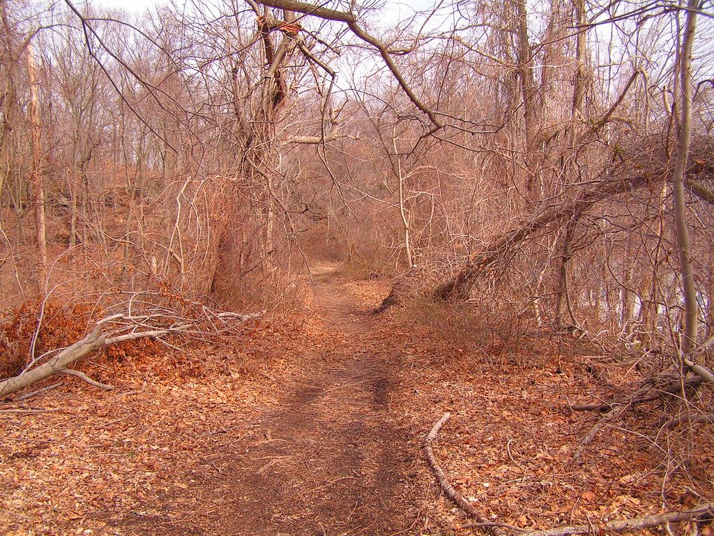 Airline, Portland, CT Josh Michtom Flickr