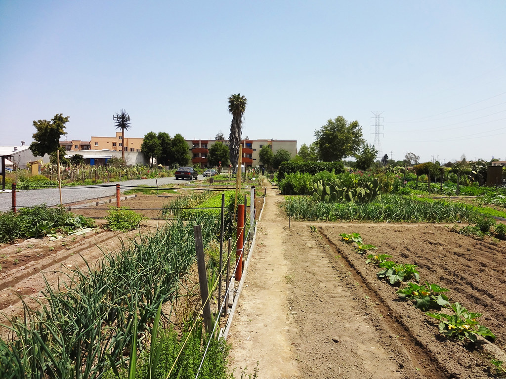 Bell Gardens Community Gardens (5) Bell Gardens Community … Flickr