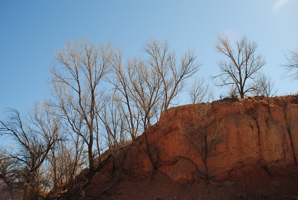 Blackwater Draw Eastern New Mexico University Flickr