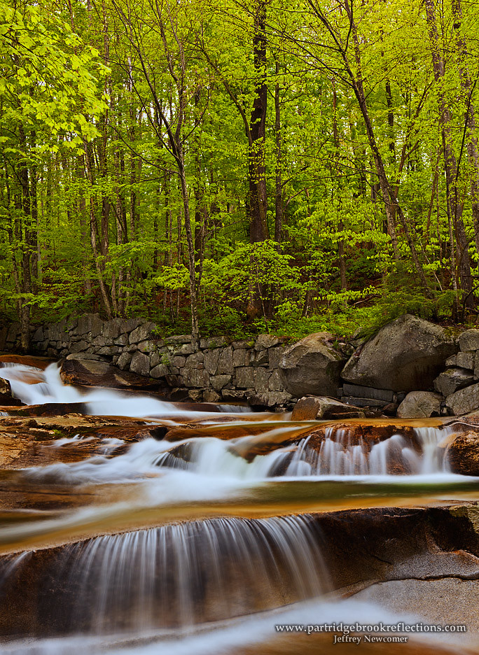 Stickney Spring With the rain, Stickney Brook was flowing … Flickr