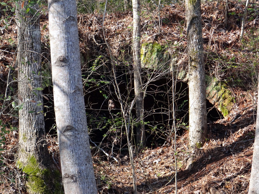 Coke Oven Remains, West Blocton, Alabama West Blocton Hist… Flickr