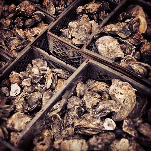Oyster Processing in Houma Allen Boudreaux Flickr