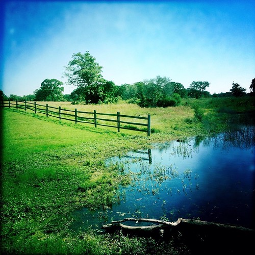 King Oaks Iola, TX Another shot of the fishing pond on t… Flickr