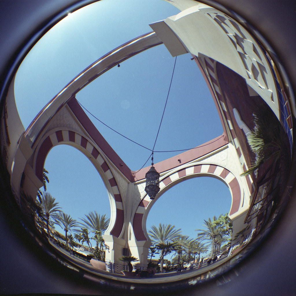 Irvine Spectrum Camera Diana F+ 20mm Fisheye Film Fuji P… Flickr