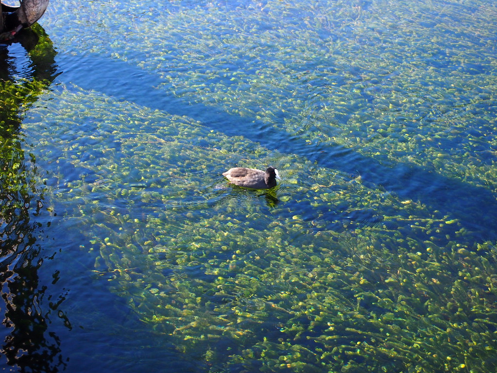 Nukuhau Marina, Taupo Cold early winter day, water was so … Flickr