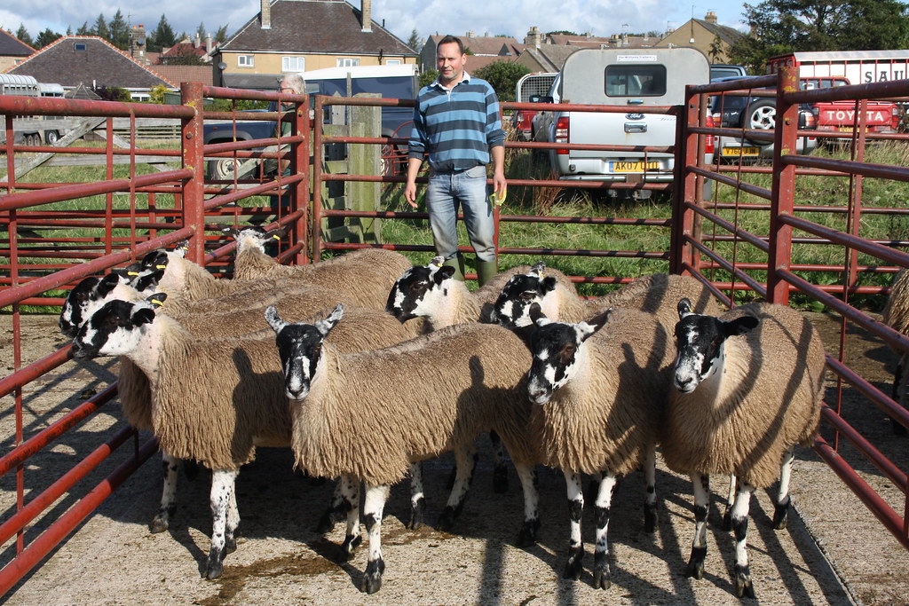 MALCOLM DENT Barnard Castle Auction Mart Flickr