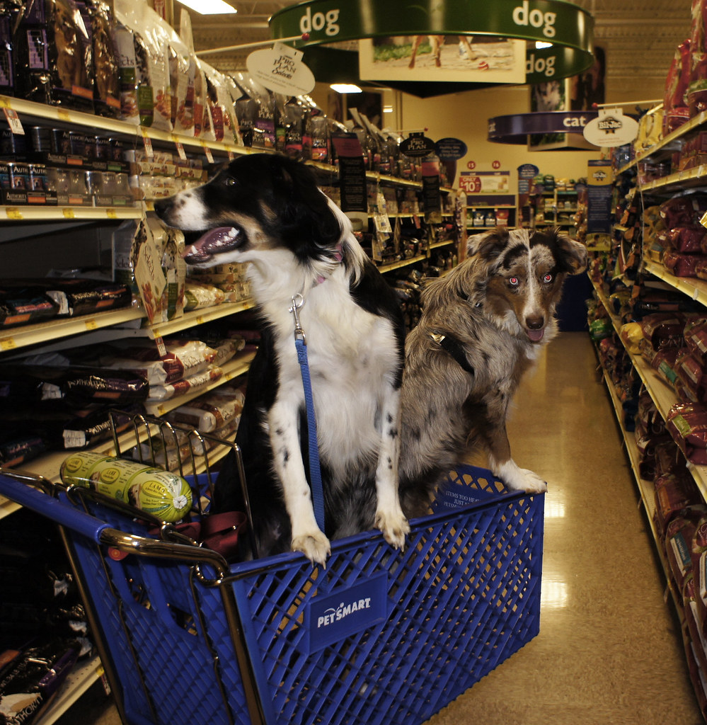 petsmart Ted Van Pelt Flickr