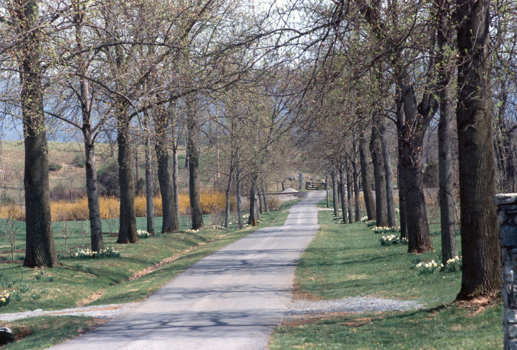 Llewellyn Farm drive, Berryville, VA (2006) a photo on Flickriver