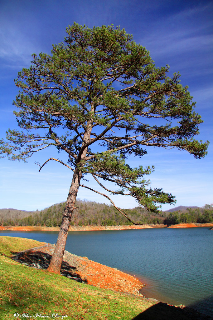 North Carolina 0017 Hiwassee Lake State Park in Murphy, NC… David