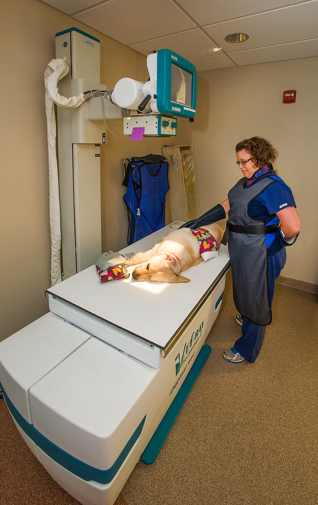 Veterinary Clinic Xray room The Xray room is located wit… Flickr