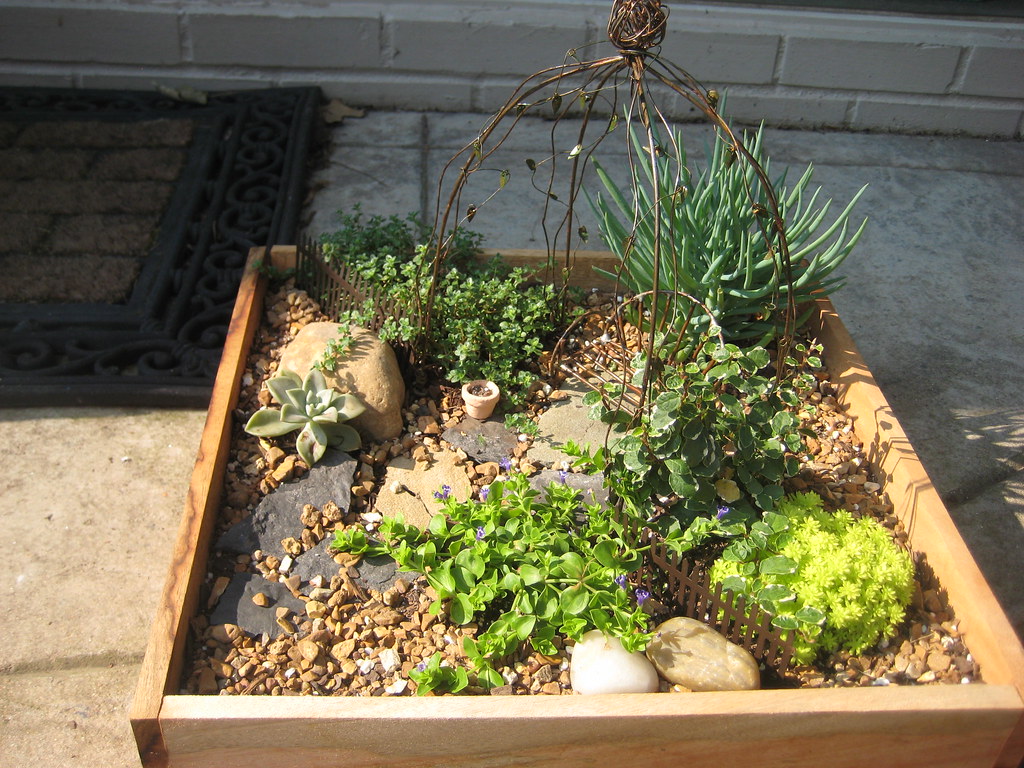 Desert Fairy Garden a photo on Flickriver