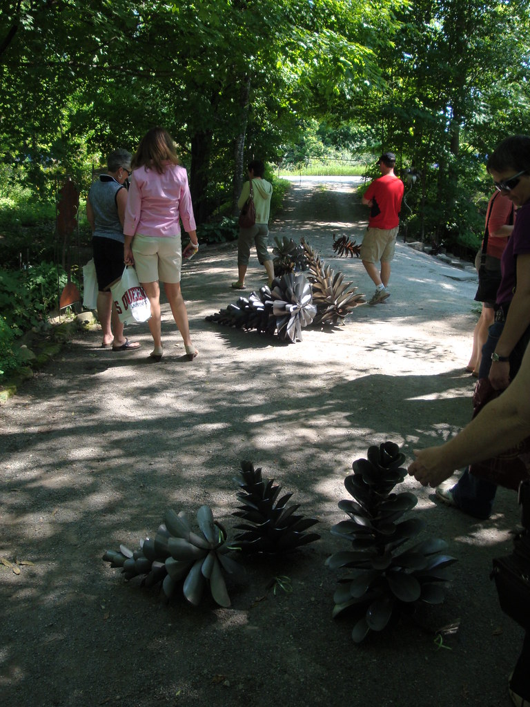 DSC01405 kiwi gardens Flickr