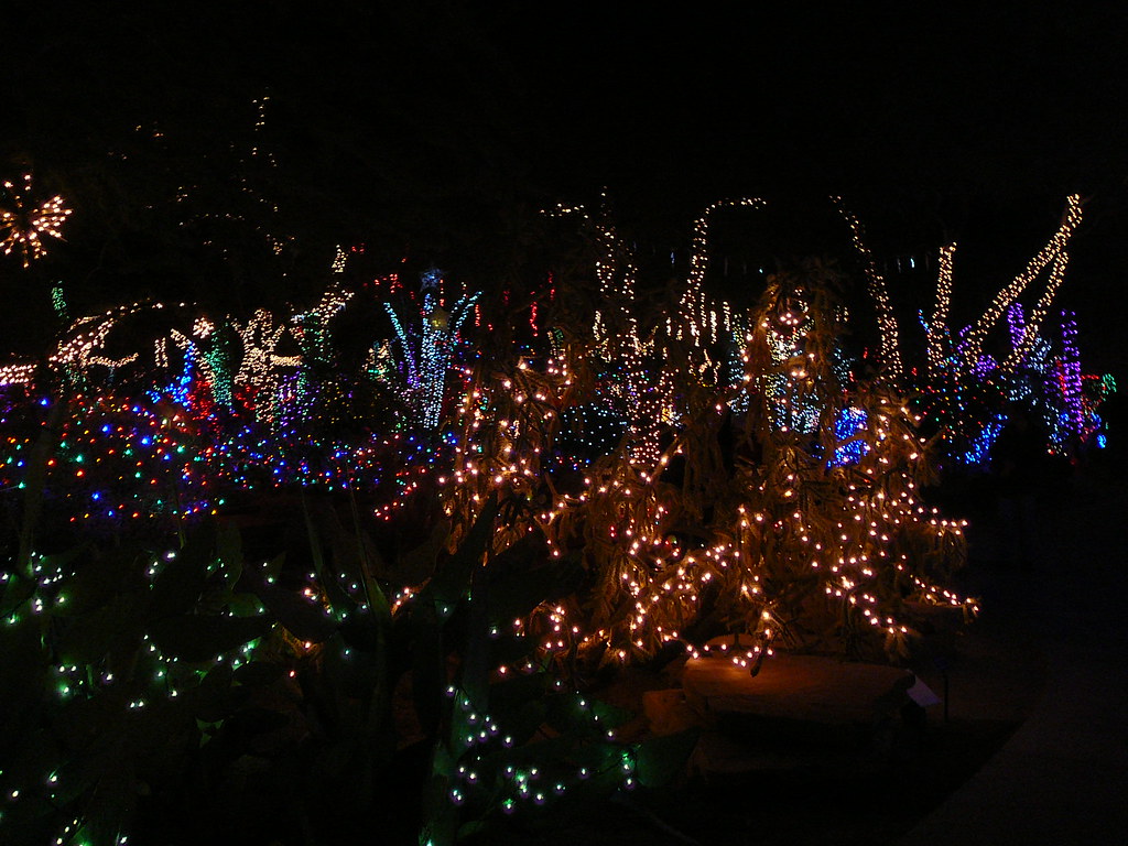 P1040386 Ethel M Cactus Gardens, Christmas lights, Dec. 29… Flickr