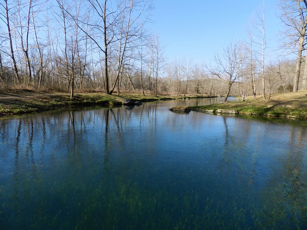 Stone Mill Spring Branch The Stone Mill Spring Branch is a… Flickr