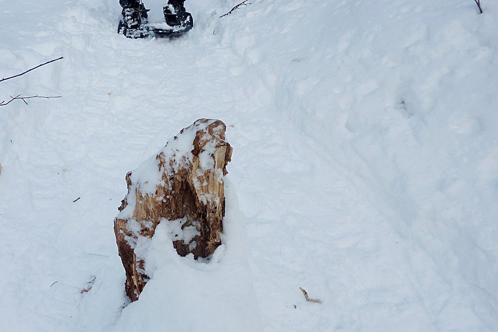 Snowshoeing in Gatineau Park snullr Flickr