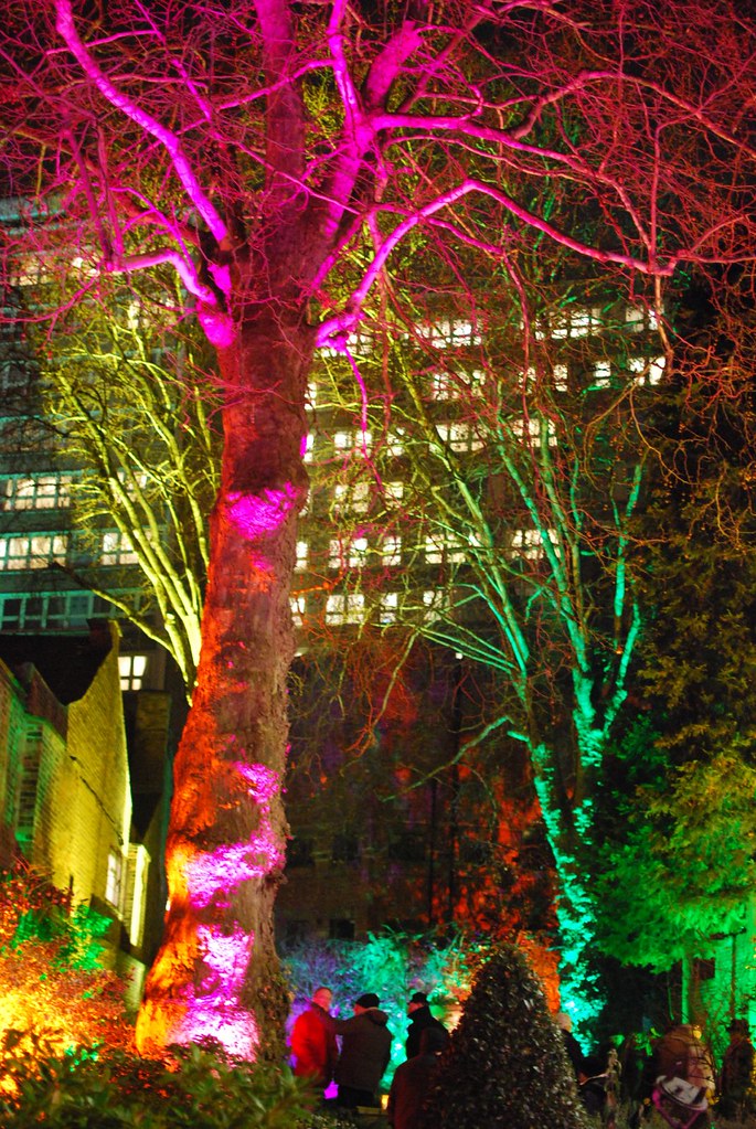 Bromley House Garden Nottingham Light Night 2012. Wavelength415