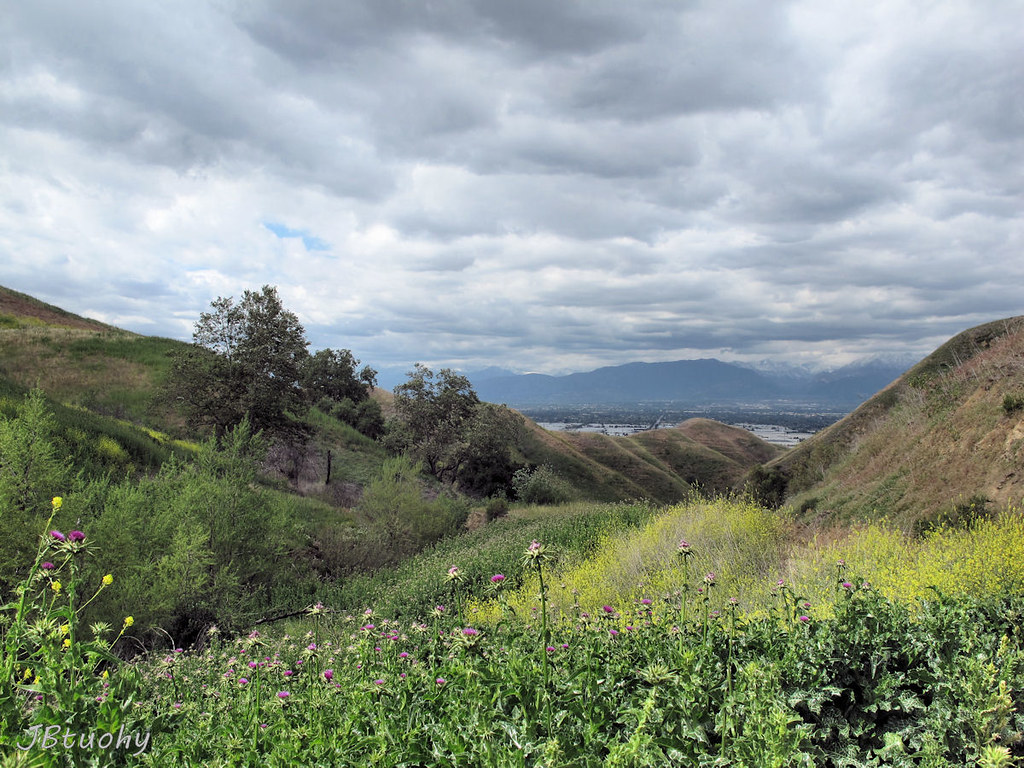 Chino Hills State Park Chino Hills, California IMG_7164 Flickr