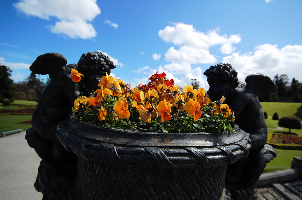 Mmmhh Smell the flowers Powerscourt Gardens, Co Wicklow. Flickr