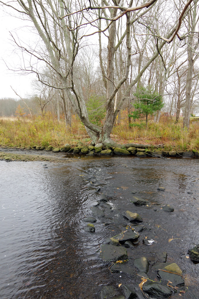 Sawmill Park Opening 01 (13) Photographs taken at… Flickr