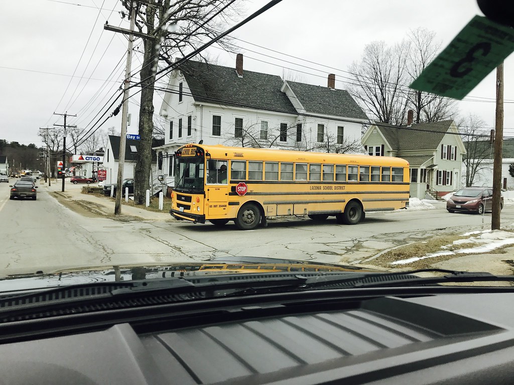 151786 Laconia School District 02intlbluebird Flickr