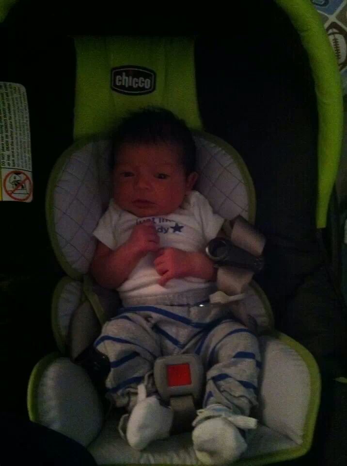 Baby Sloan vivrose2014 Flickr