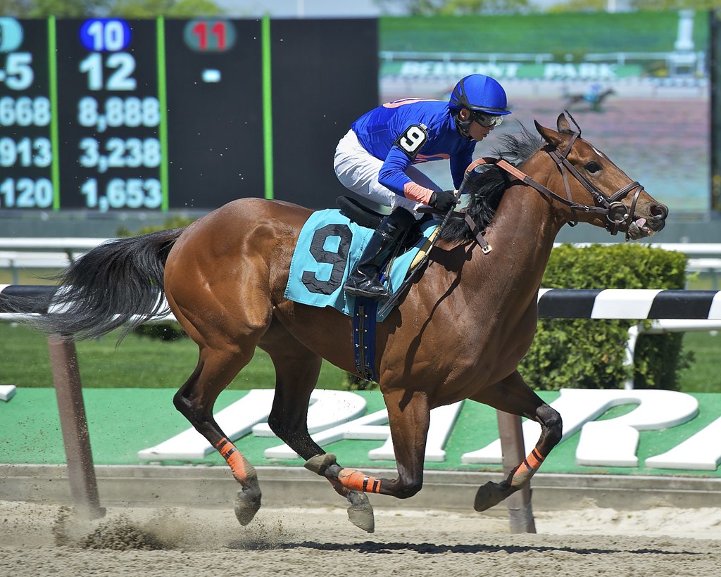 Belmont Racetrack, 4/29/12 Drawing Away Stable's "ALARMIST… Flickr