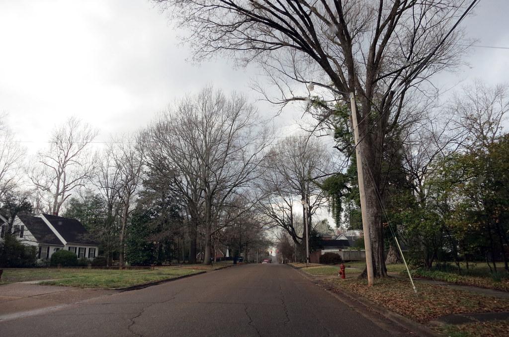 Chulahoma Avenue. Holly Springs MS, March 2014. nate powell Flickr
