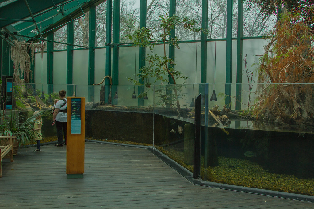 The Swamp Mississippi Museum of Natural Science Plain