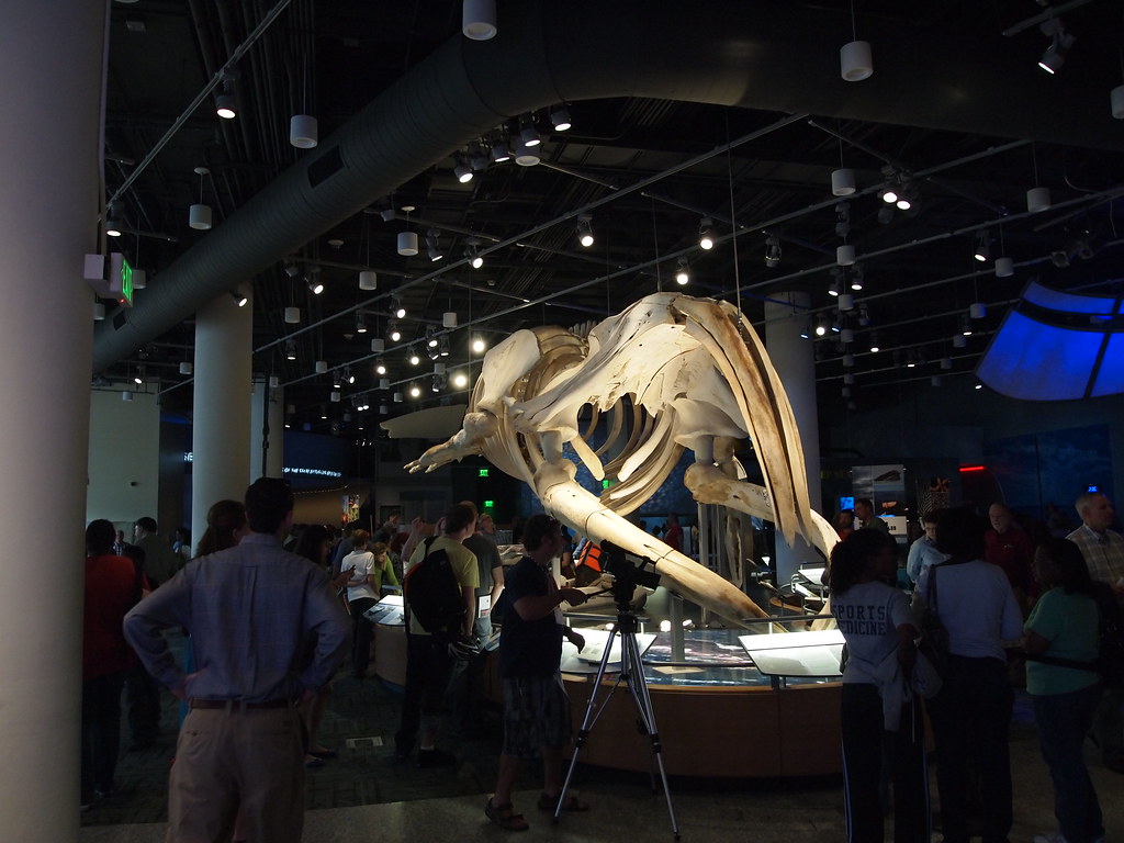 NC SCIENCE RESEARCH CENTER RALEIGH NC a photo on Flickriver