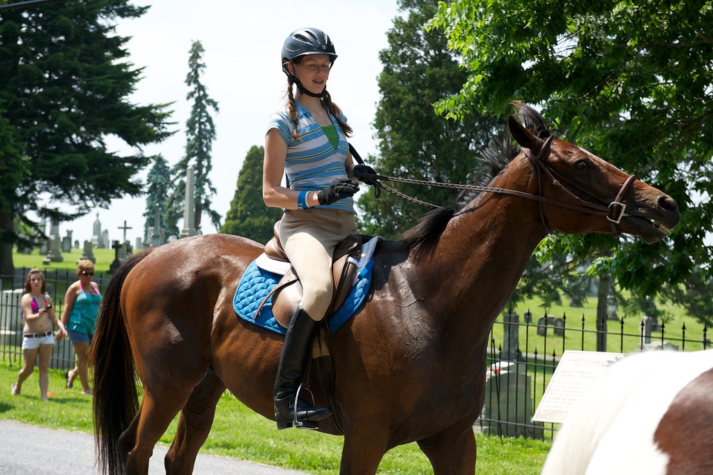 RCS_2228 For lots of Sharpsburg Maryland videos see www.a… Flickr