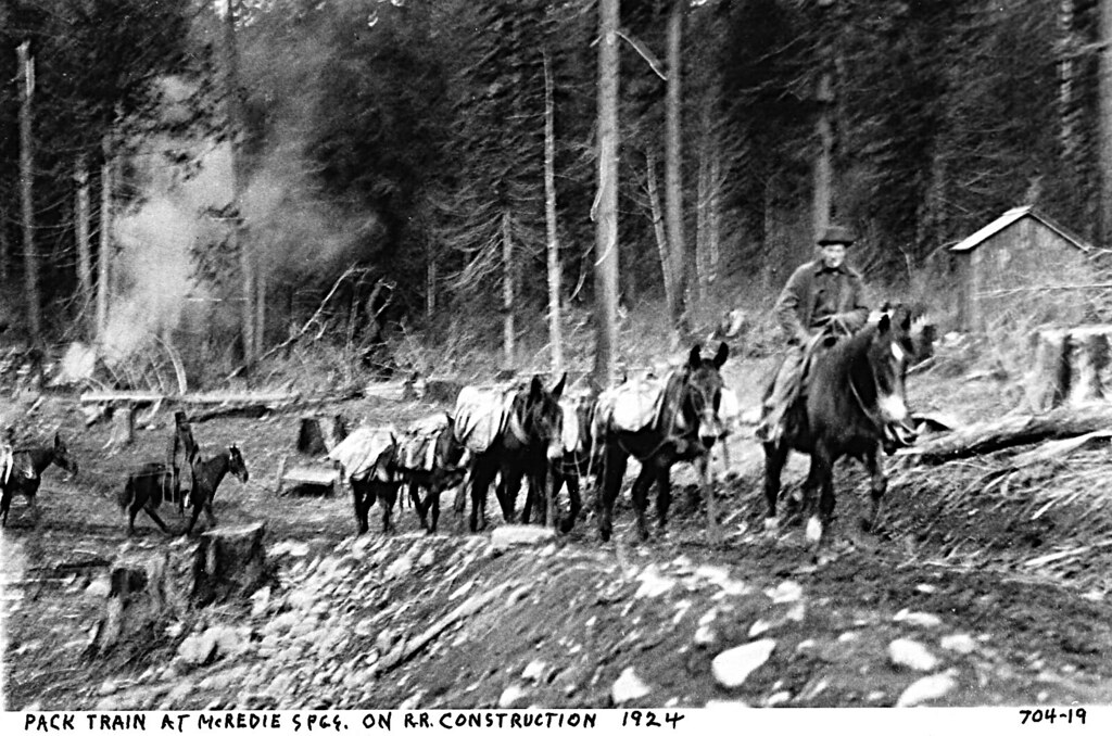 Oakridge Oregon Packers out of McCredie Springs curtis Irish Flickr