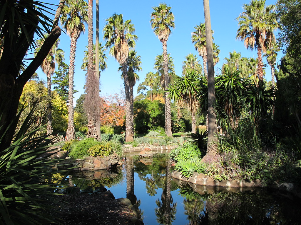 Williamstown Botanic Gardens Williamstown Botanic Gardens Flickr