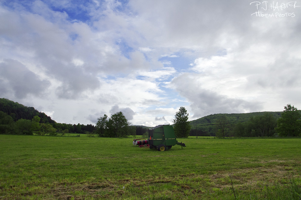 Elevation of Thoroughbred Rd, Walton, NY, USA Topographic Map