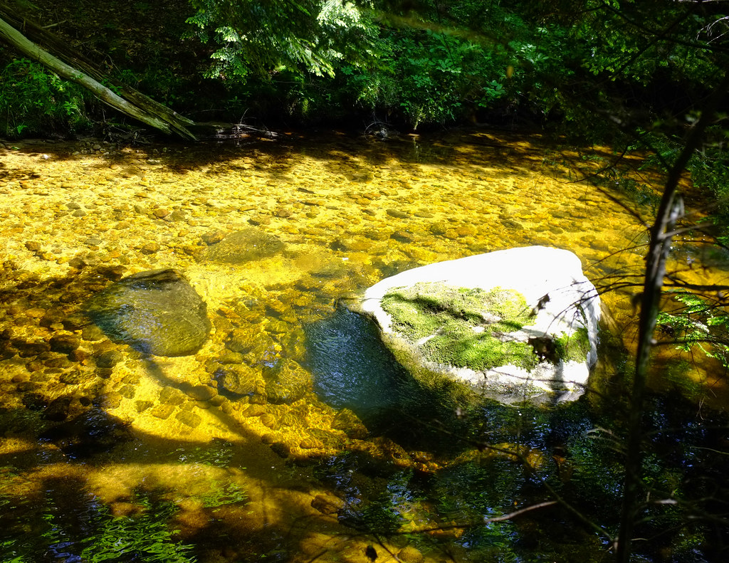 Flat Mountain Pond33 Kate Lockhart Flickr