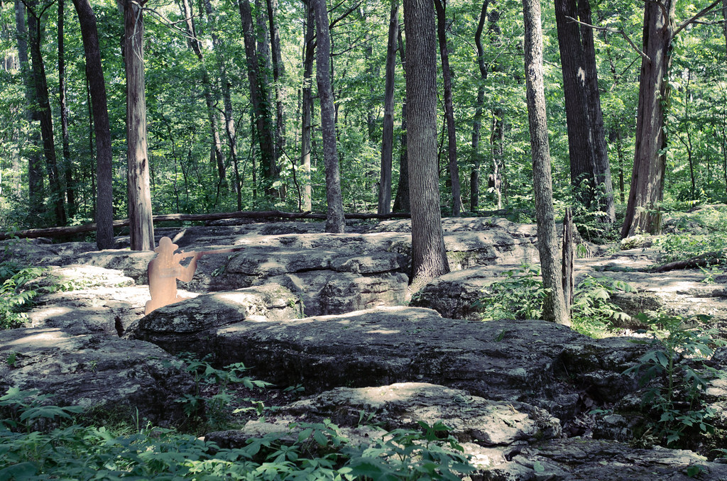 Stones River Battlefield 2012, the slaughter pen (tone shi… Flickr