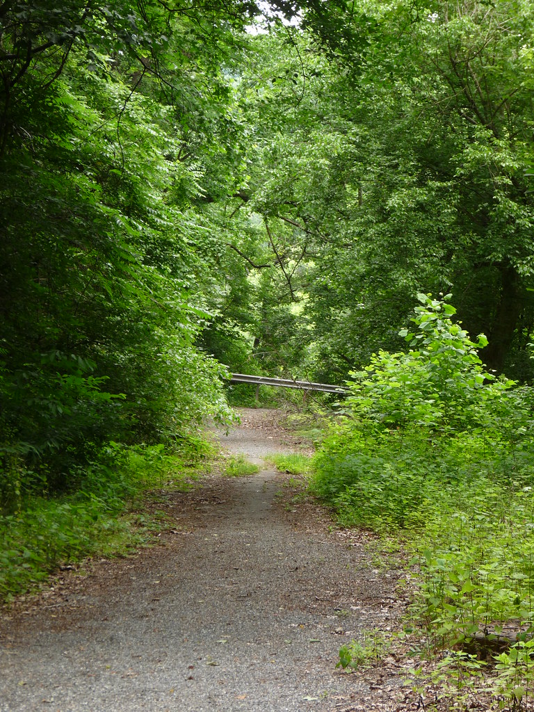old Treasure Island Road Lynchburg, Virginia a guardrai… Flickr