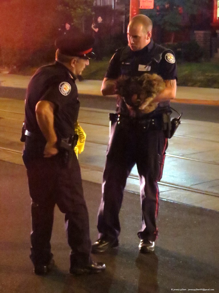 Pet store fire 5 Police officer holds rescued cat after pe… Flickr