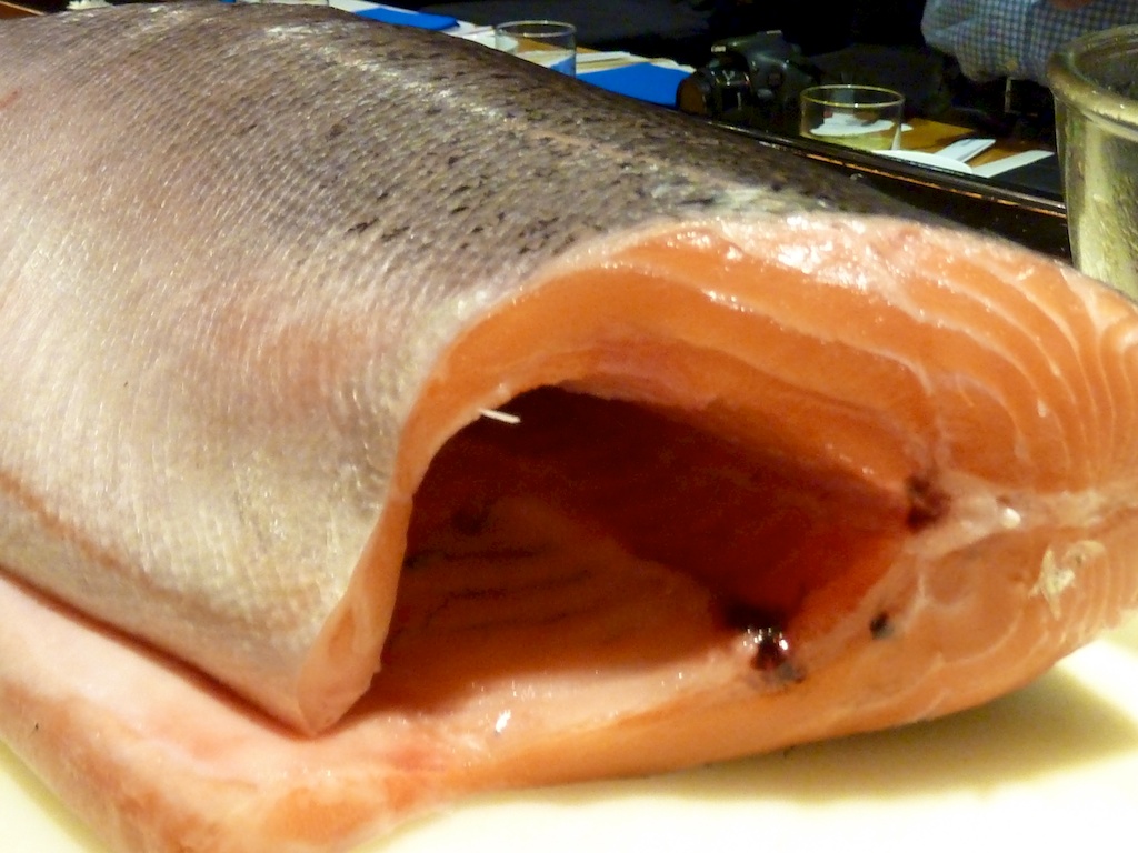 Salmón Javier Lastras Flickr