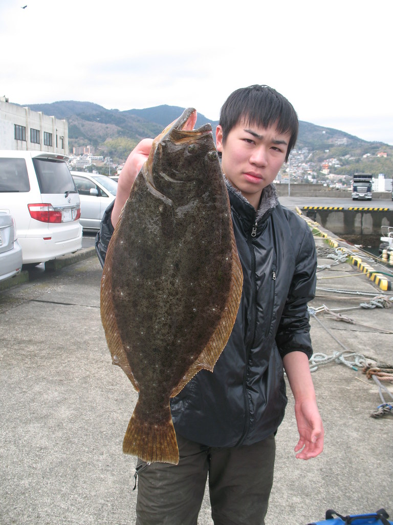 Halibut（ヒラメ） Halibut? Flounder? Sole? makopunpun Flickr