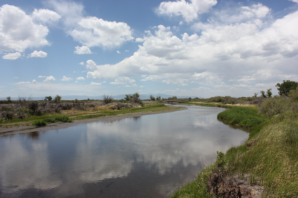 Rio Grande River Credit Ryan Moehring / USFWS USFWS Mountain